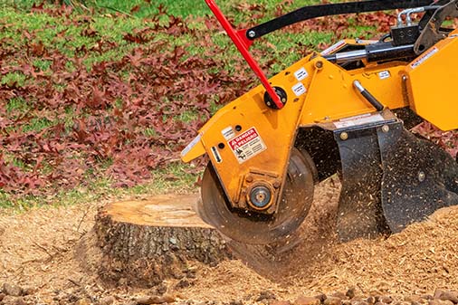 Stump Grinding Stump Grinding